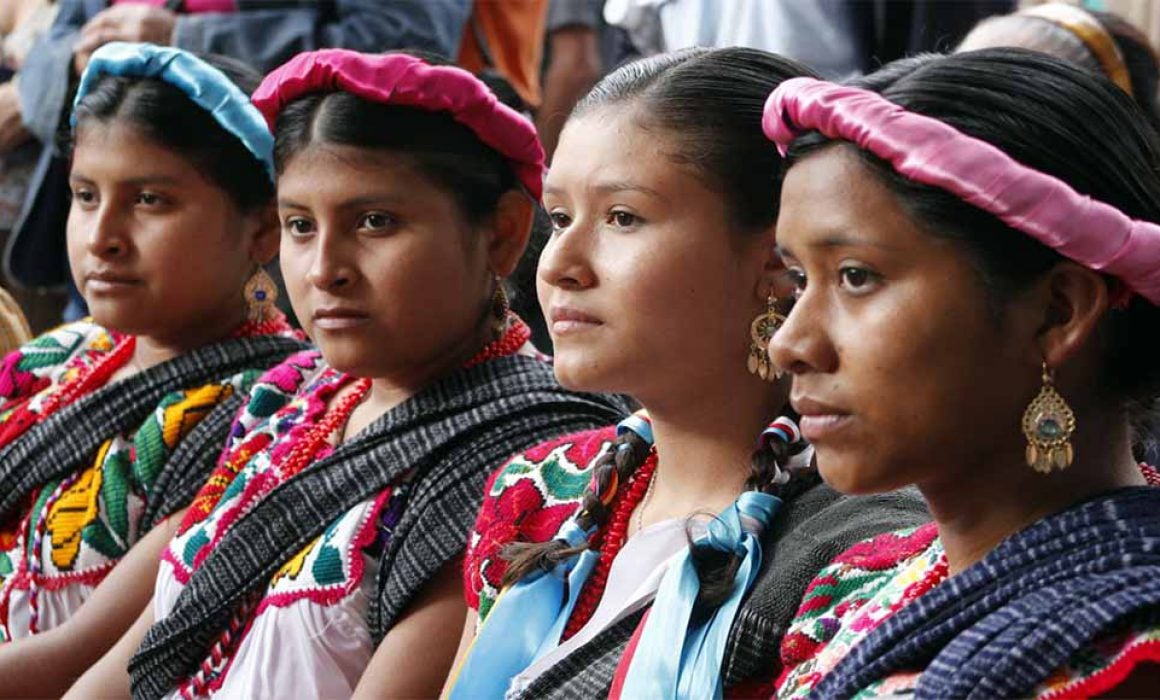 Organizaciones Indígenas: Defensores de Derechos y Cultura