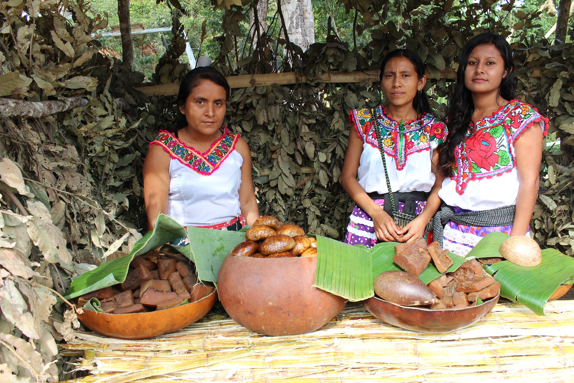Gastronomía Indígena: Tesoros Culinarios de las Comunidades Originarias